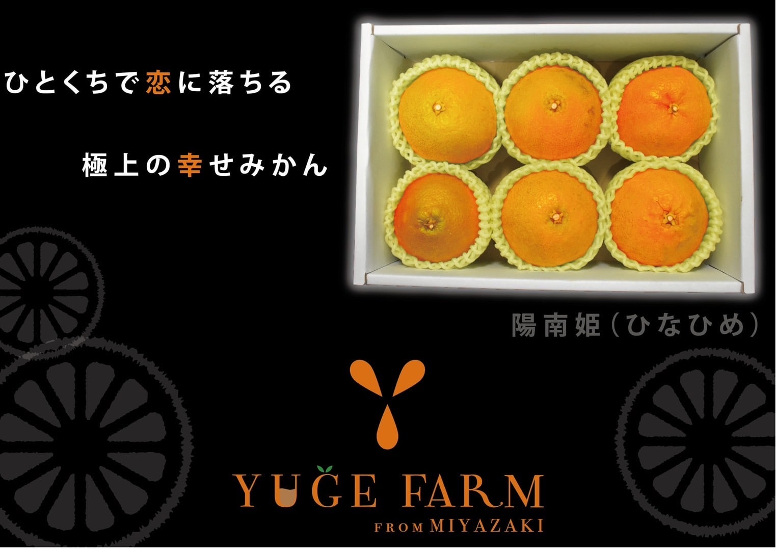 宮崎県産 陽南姫(ひなひめ) 贈答用 大玉6個[株式会社グリーンフィールドアグリジャパン]
