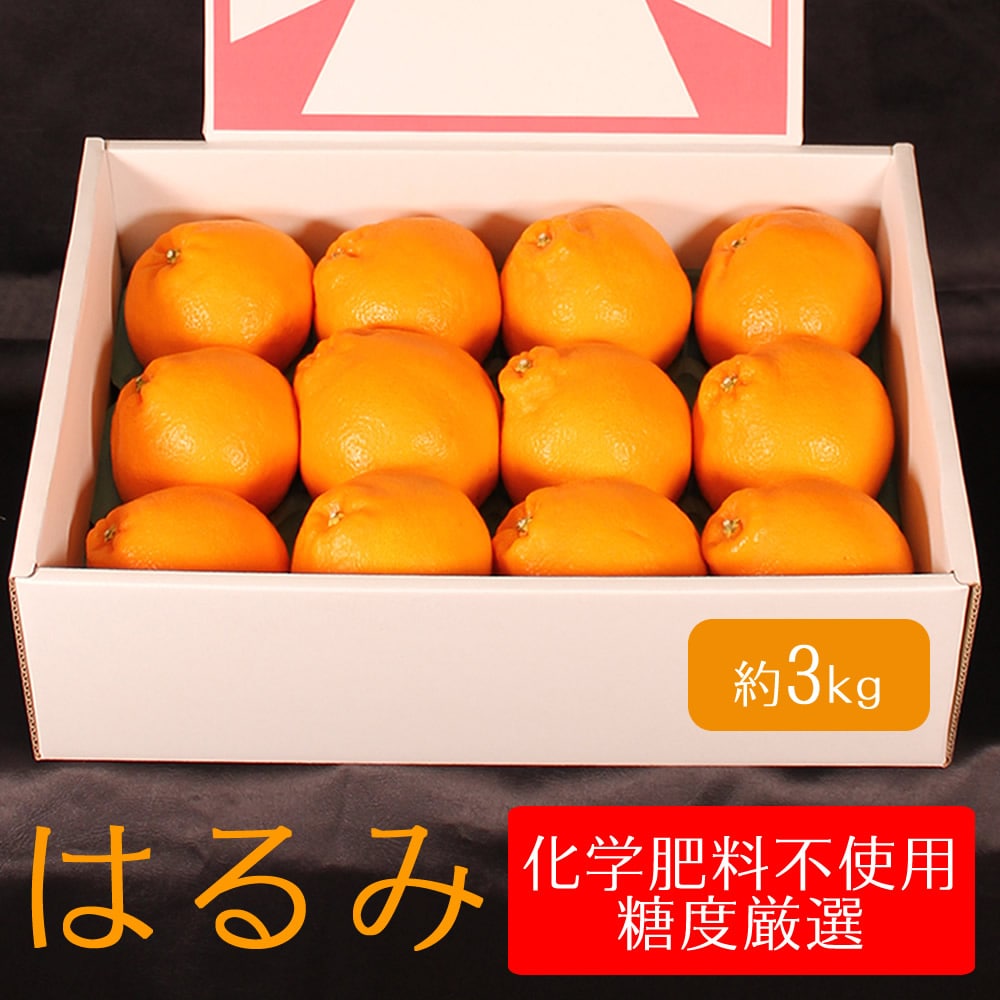 宮崎県産 はるみ 贈答用 中玉12個[株式会社グリーンフィールドアグリジャパン]