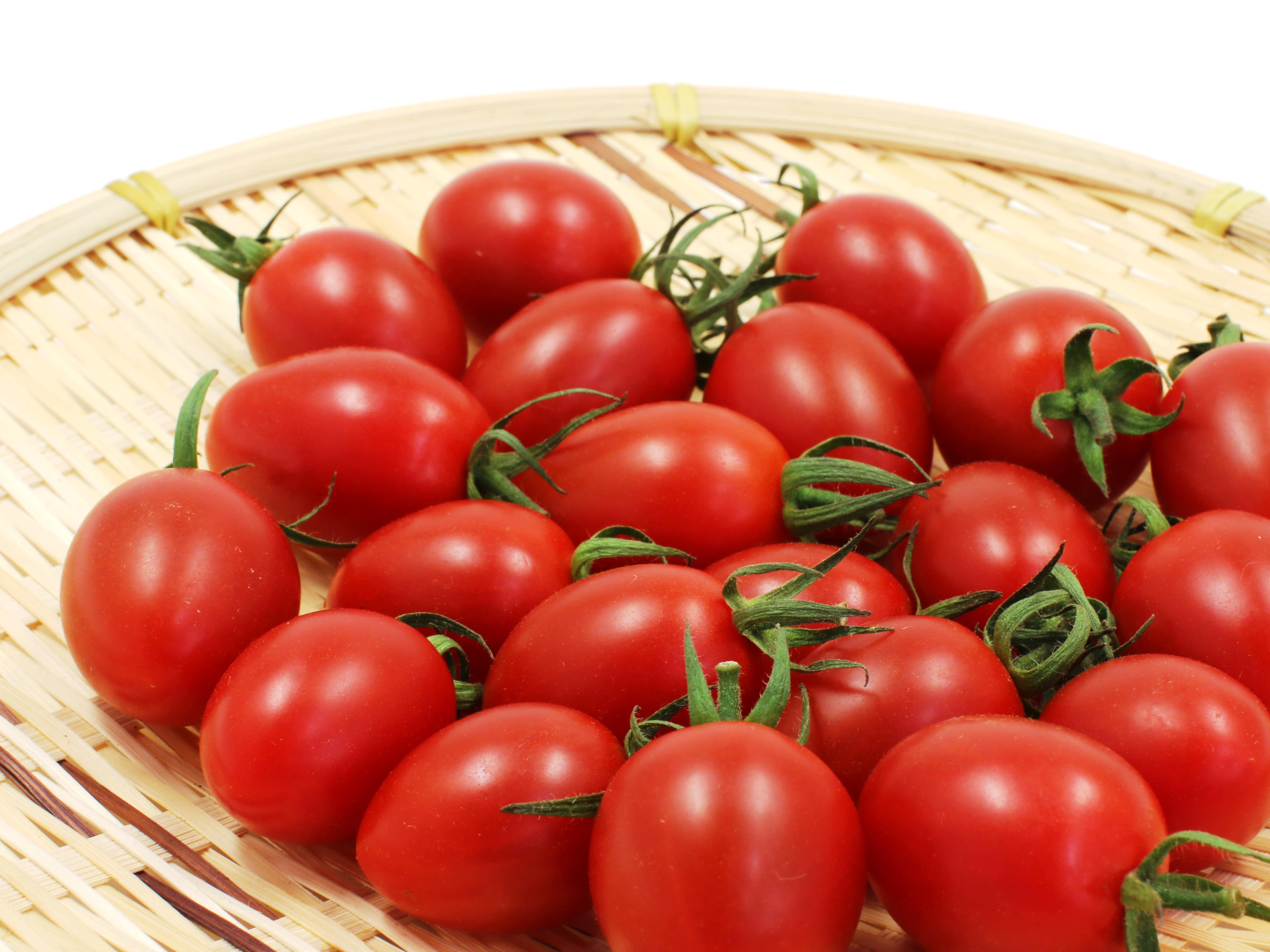 やみつきになるミニトマト（1㎏）[株式会社マーコ]