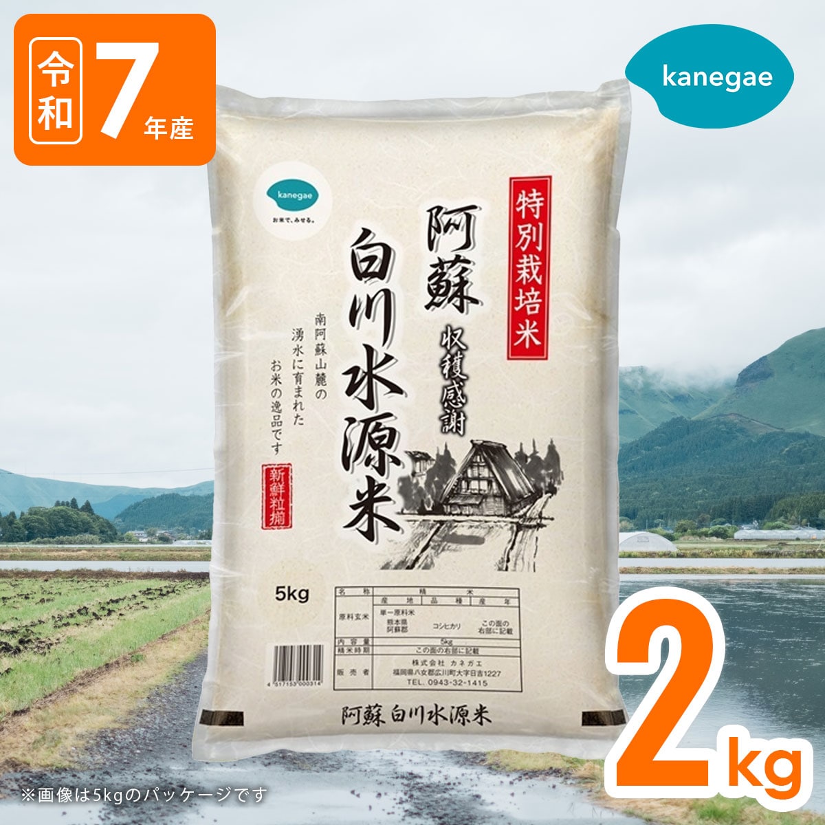 令和7年産 名水白川水源米2kgこしひかり 精米したてで分づきが選べる！送料無料「株式会社カネガエ」