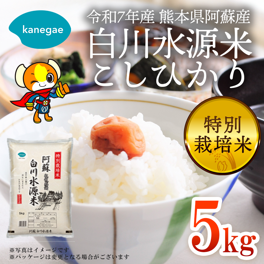 令和7年産 名水白川水源米5kgこしひかり 精米したてで分づきが選べる！送料無料「株式会社カネガエ」