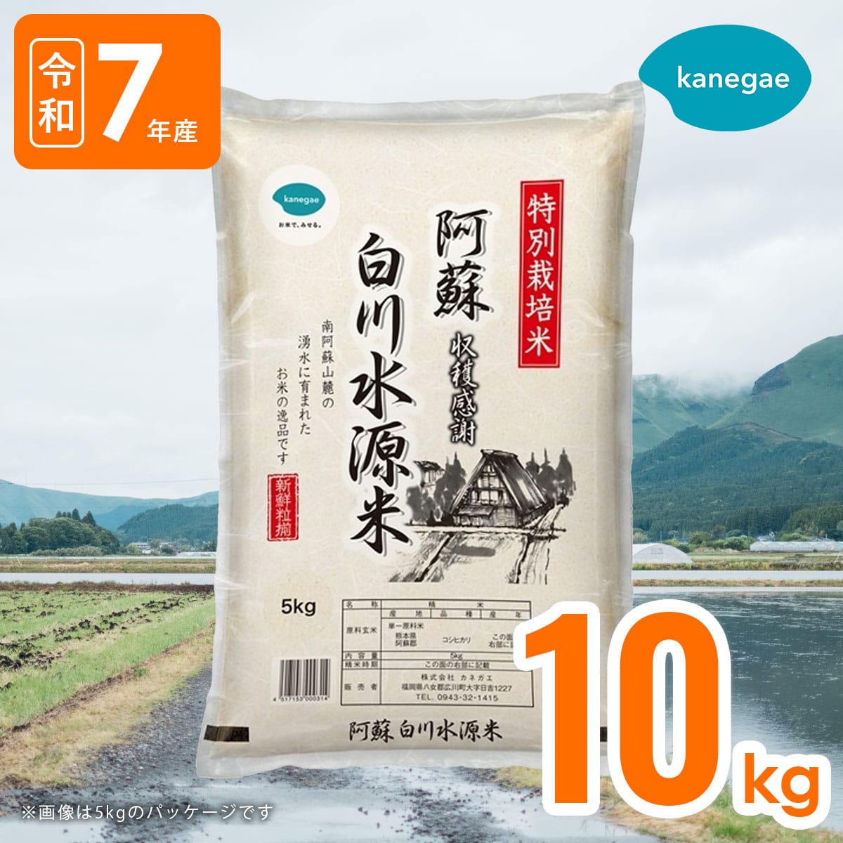 令和7年産 名水白川水源米10kgこしひかり 精米したてで分づきが選べる！送料無料「株式会社カネガエ」