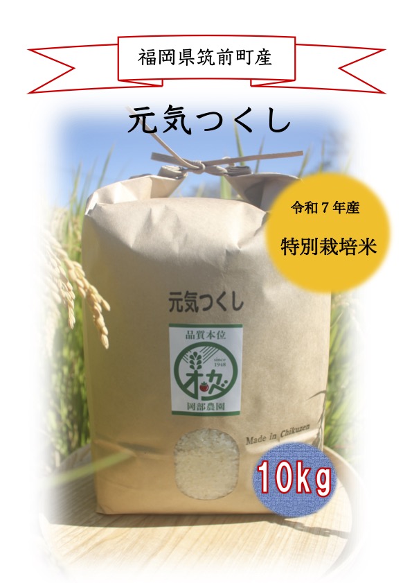 岡部農園　特別栽培米  元気つくし 10kg[岡部新吾]