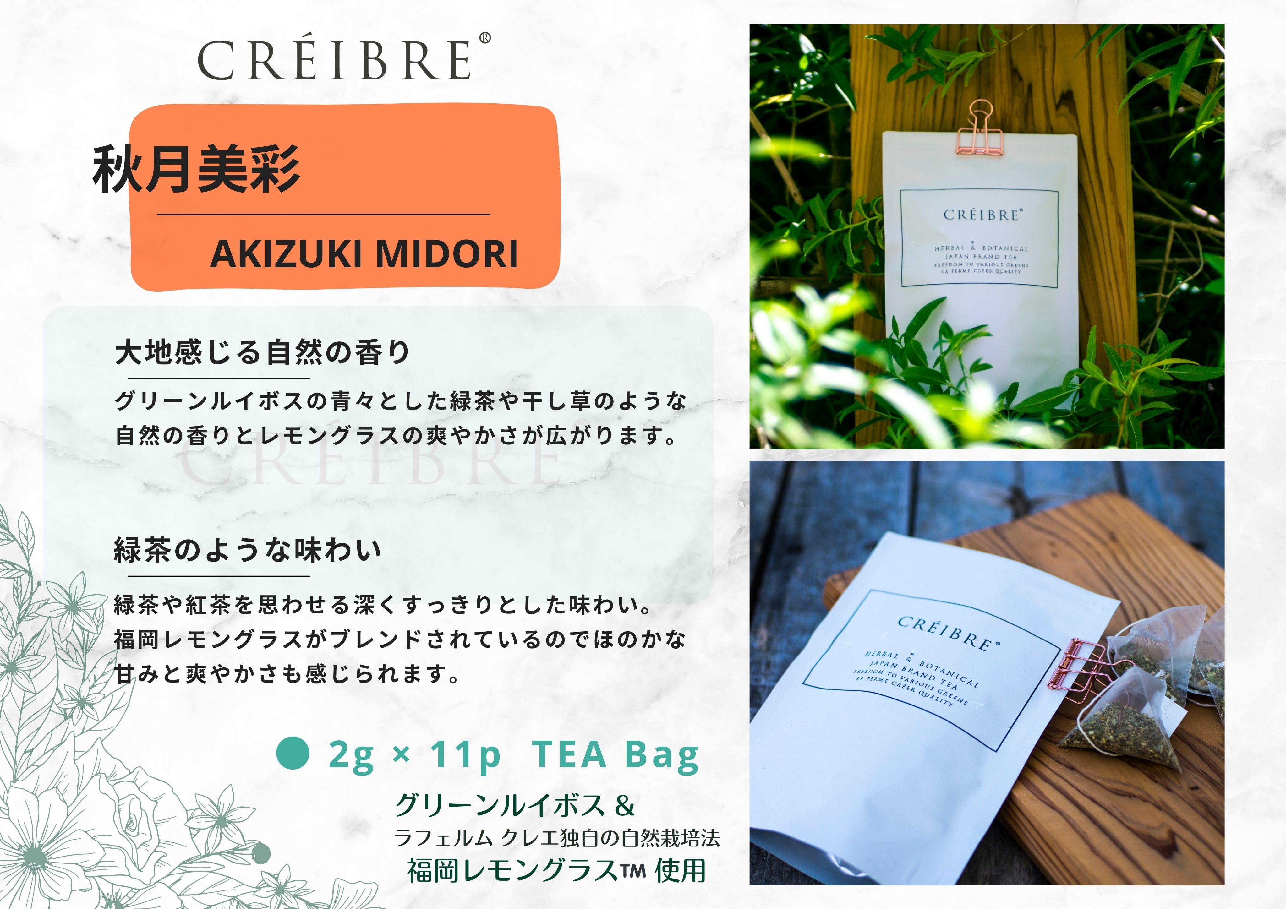 CREIBRE 秋月美彩 -akizuki midori- グリーンルイボス & 福岡レモングラス ハーバル&ボタニカル ティーバッグ 11p入 [株式会社フォルク]