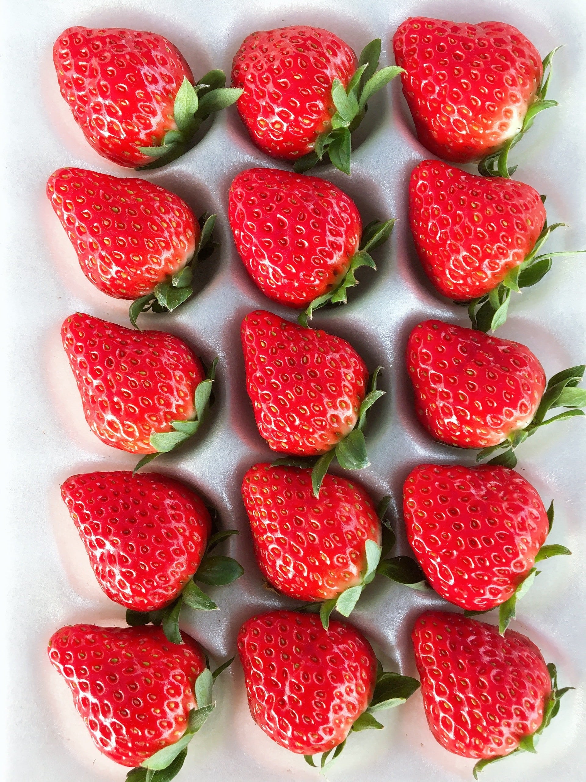 〔いちごソムリエ厳選〕紅ほっぺ8粒～15粒（4L以上大粒限定）［株式会社マーコ］