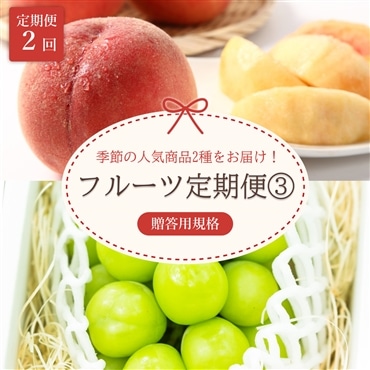 山形フルーツ定期便3（季節の人気2商品：白桃・シャインマスカット）「アンスリーファーム」送料無料　5倍マイルアップ