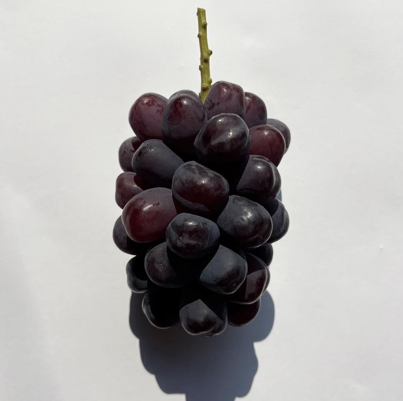 岡山県産ブラックシャインマスカット［悠建商事株式会社］