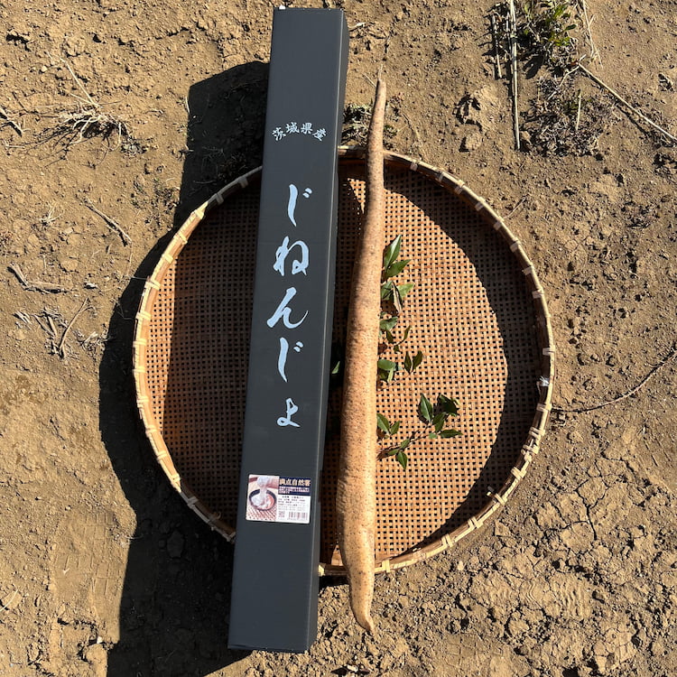 満点自然薯 化粧箱入り 約800g 茨城県産 [新関フードサービス]