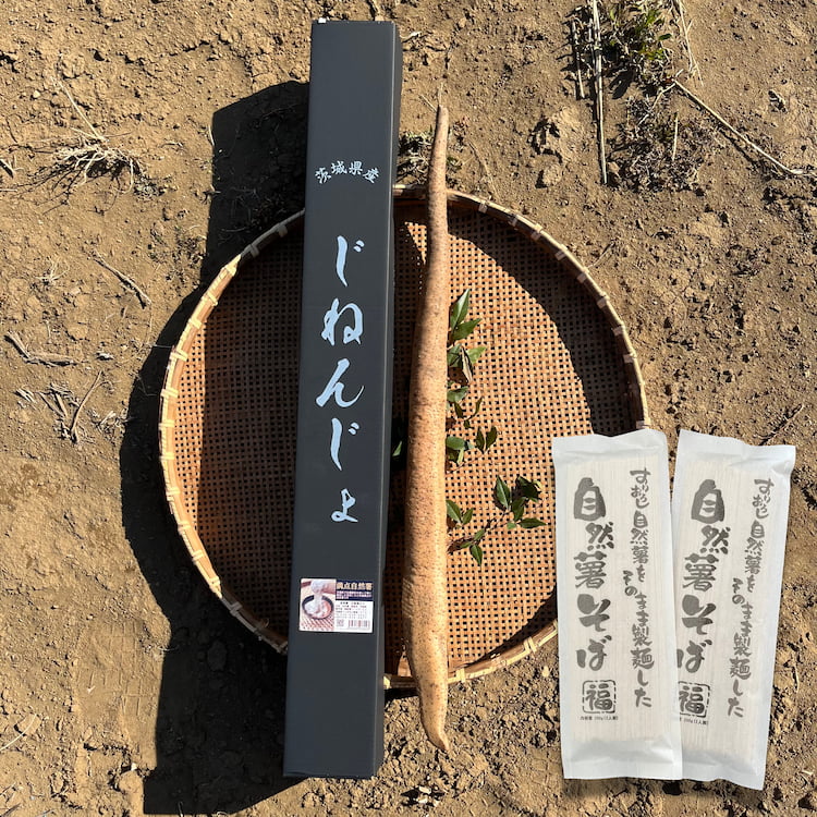 満点自然薯 約800g 茨城県産＆自然薯そば 200g×2個のセット 化粧箱入り [新関フードサービス]