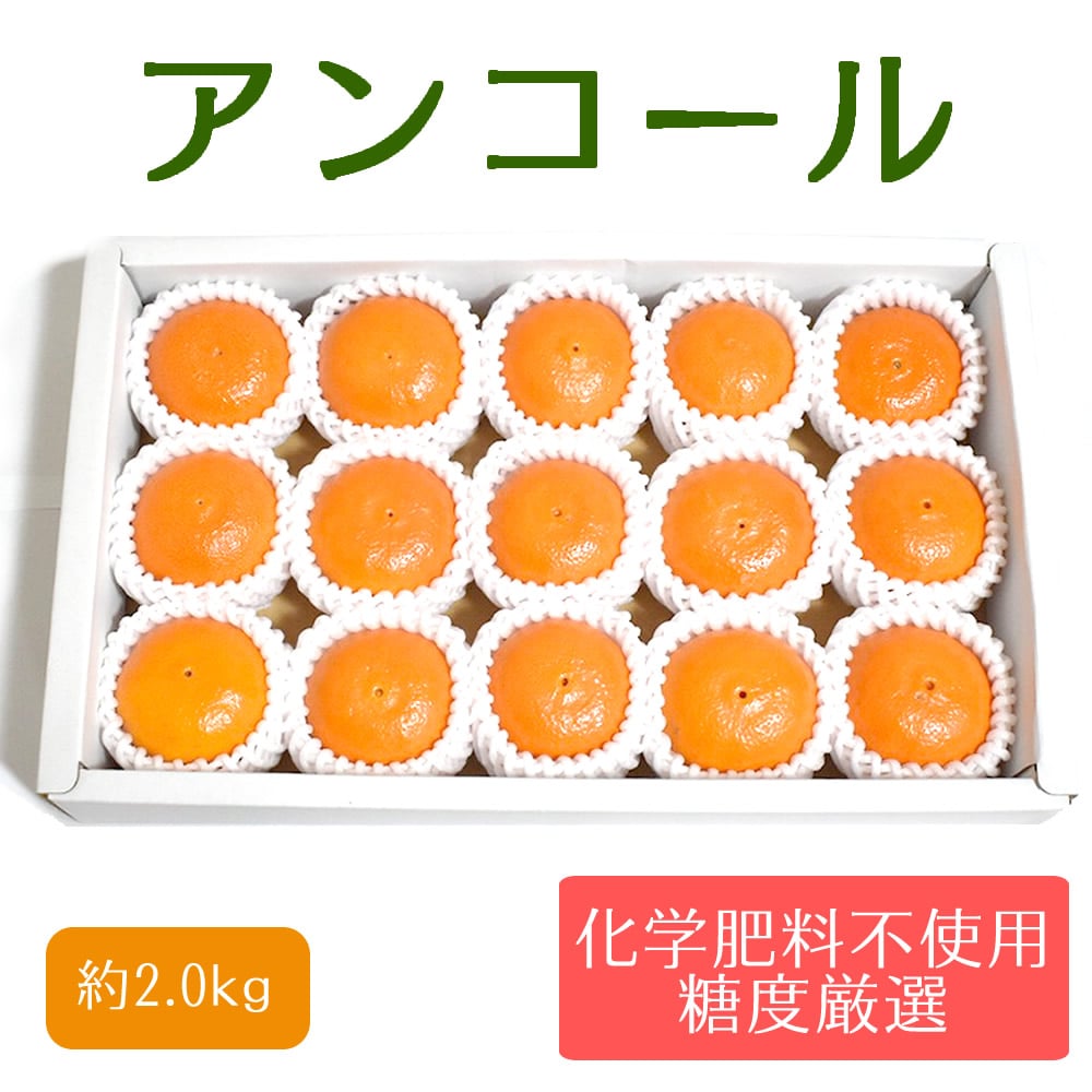 贈答用 宮崎県産 アンコール 中玉 約2kg[株式会社グリーンフィールドアグリジャパン]