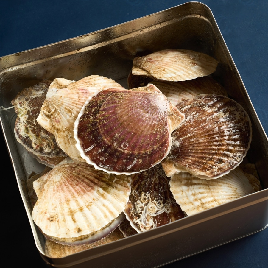 J128 北海道産　ホタテのガンガン焼き［株式会社ワイエス海商］