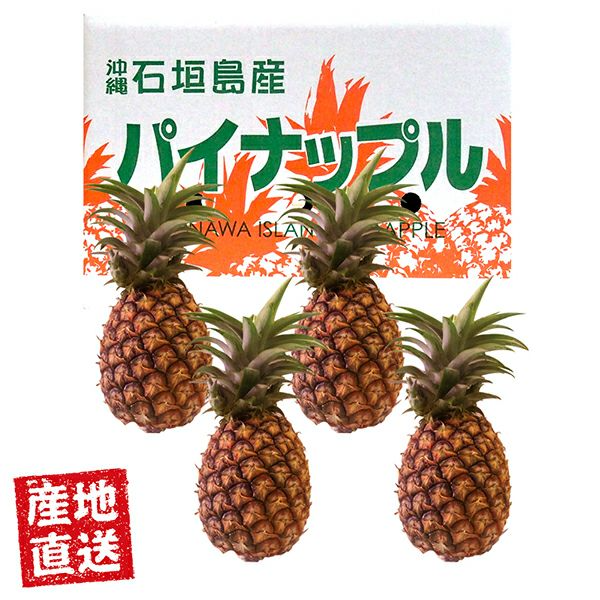 産地直送石垣島産ピーチパイン3㎏（3～5玉）　4月上旬～６月中旬お届け［株式会社沖縄ウコン堂］