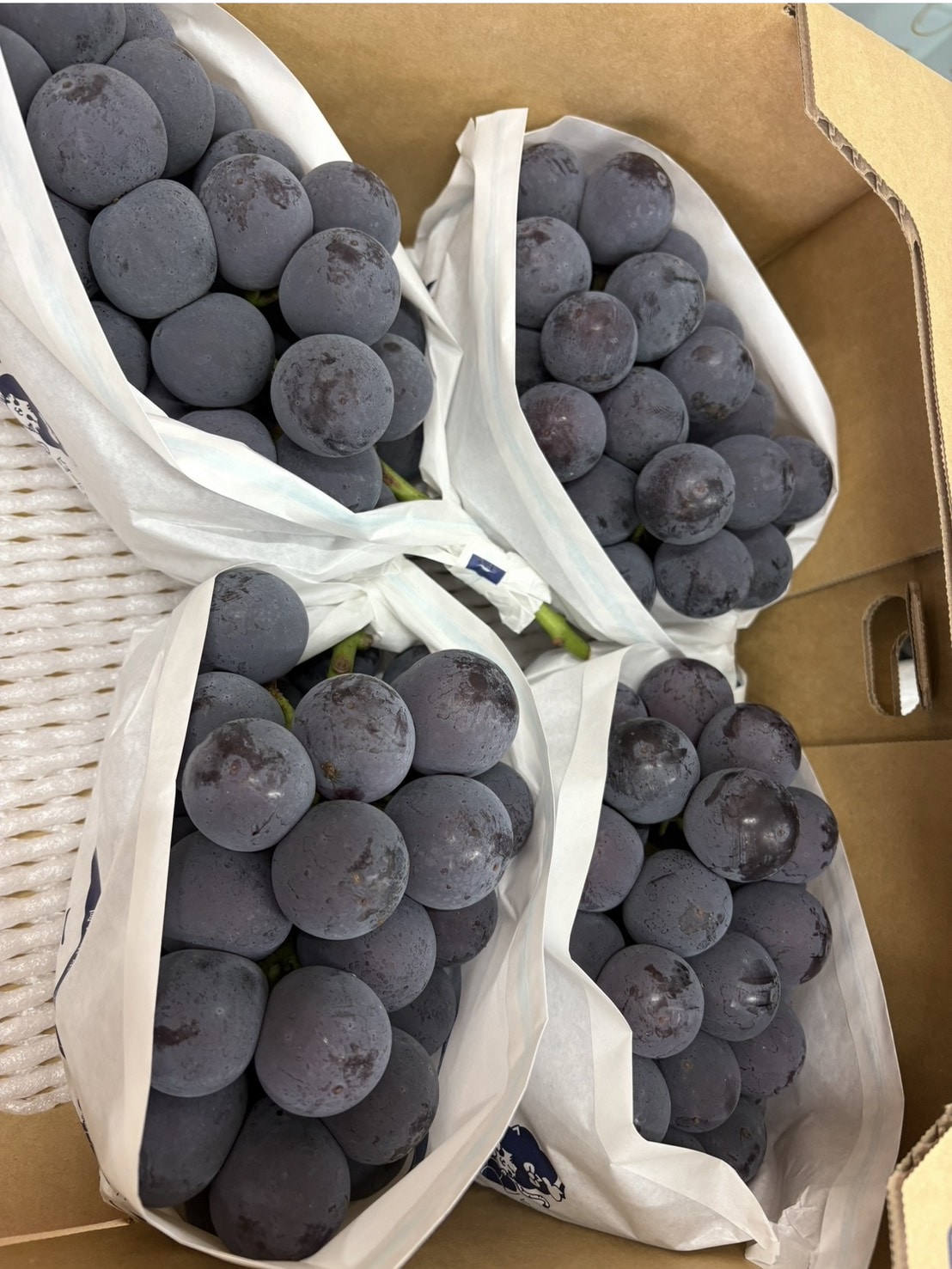 岡山県産ニューピオーネ良品2㎏箱送料無料［悠建商事株式会社］