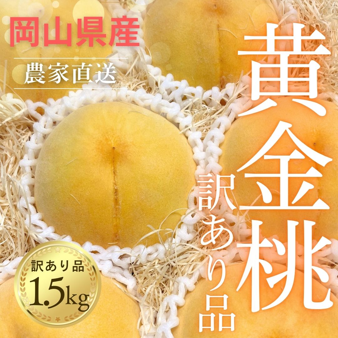 【2026年 先行予約】岡山の桃 黄金桃 訳あり2級品 5~7玉入り 約1.5kg［MIKI’S ORCHARD］