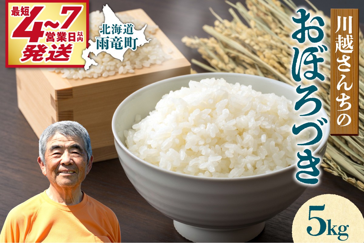 「最短4～7営業日発送」令和7年産 川越さんちの おぼろづき 5kg (5kg×1袋) 雨竜産 おぼろづき 精米 5kg お米 北海道 雨竜町 [有限会社川越農場]