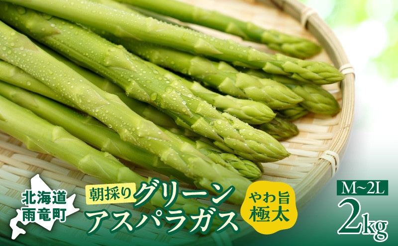 2026年発送 朝採りグリーンアスパラ 2kg 野菜 春 夏 北海道アスパラ 雨竜町産 旬 やわ旨 [有限会社川越農場]