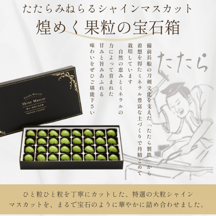 「予約商品9月～10月発送」たたらみねらるシャインマスカット　煌めく果粒の宝石箱［Ｙ＆Ｇ.ディストリビューター株式会社］