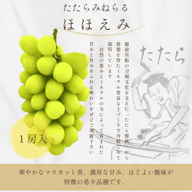 「予約商品9月～10月発送」たたらみねらる　ほほえみ　１房入り［Ｙ＆Ｇ.ディストリビューター株式会社］