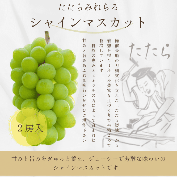 「予約商品9月～10月発送」たたらみねらるシャインマスカット　２房入り［Ｙ＆Ｇ.ディストリビューター株式会社］