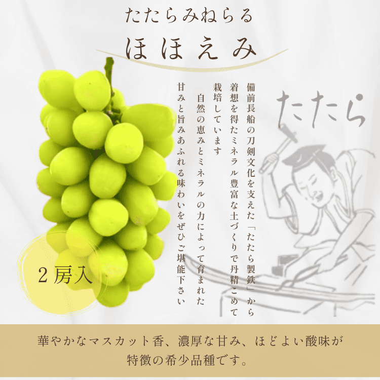 「予約商品9月～10月発送」たたらみねらる　ほほえみ　２房入り［Ｙ＆Ｇ.ディストリビューター株式会社］