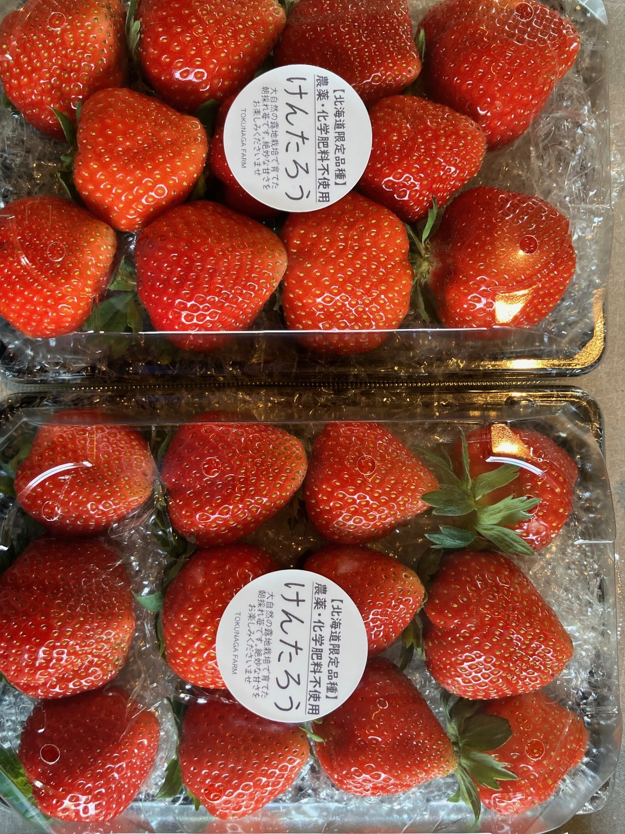 農薬化学肥料不使用★北海道限定品種【朝どれ】けんたろう苺　約600g★[とくながファーム]
