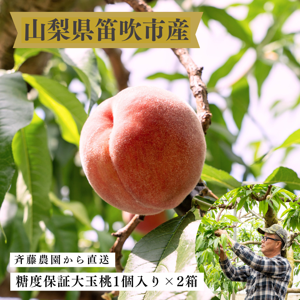 山梨県産桃　光センサー厳選糖度保証桃大玉1個入り×2箱（送料無料）＜予約受付中＞[山梨県笛吹市・斉藤農園][株式会社Naegi]
