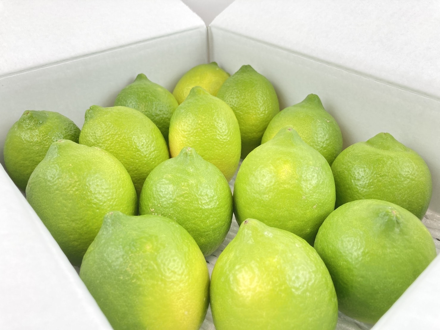 「予約商品11月以降発送」レモン島からお届け　瀬戸田のもぎたてグリーンレモン9kg ワックス防腐剤不使用 「もりの農園」