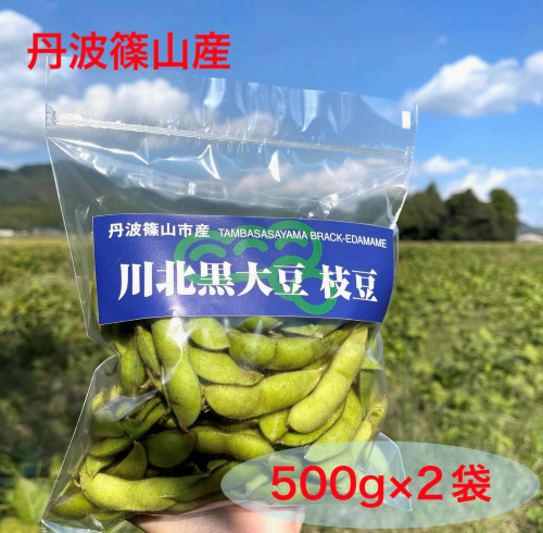 丹波篠山川北黒大豆枝豆（さや豆） [和み工房]