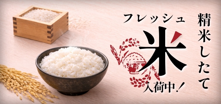 精米したてフレッシュ米入荷中