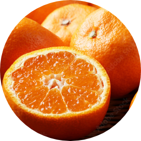 カテゴリー画像