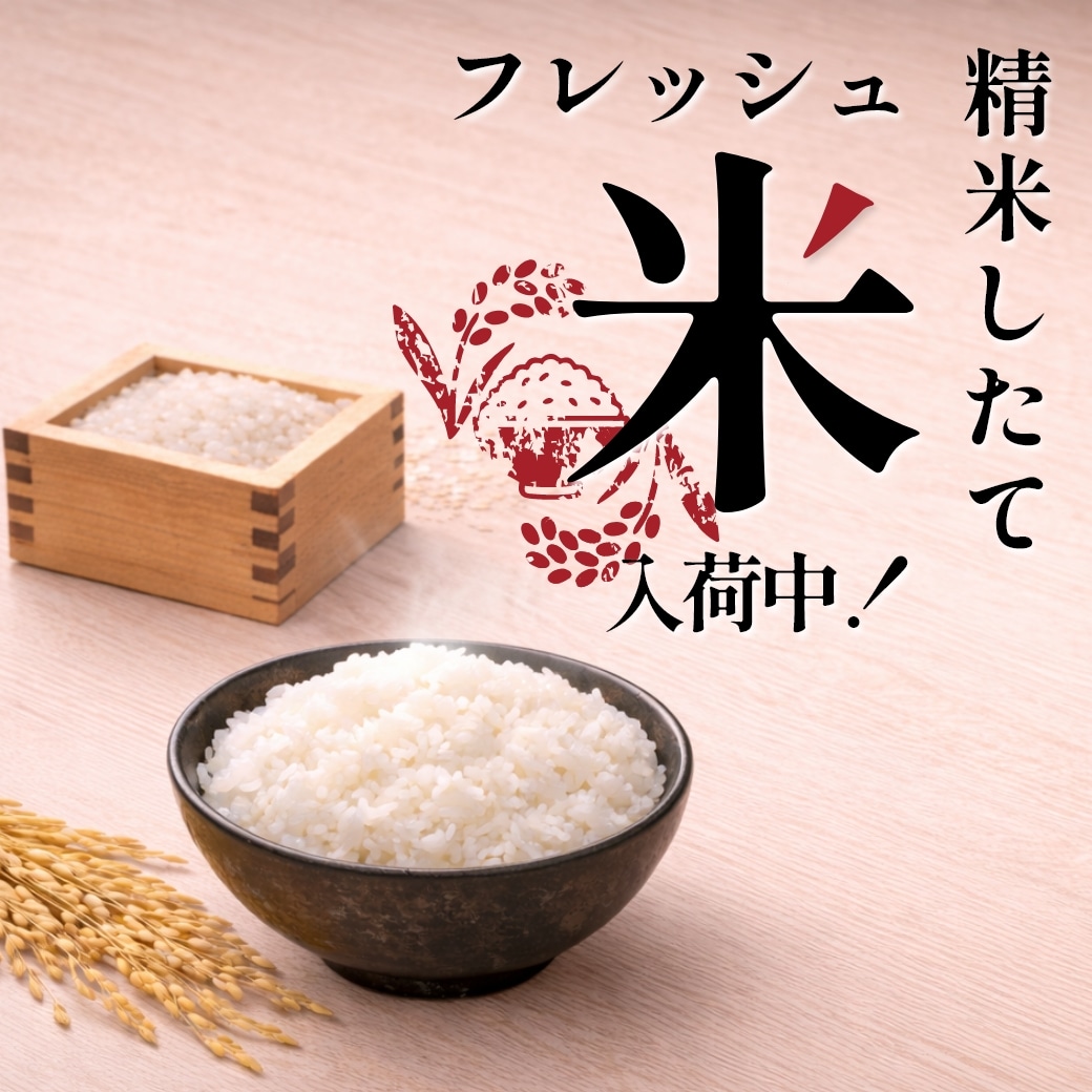 精米したてフレッシュ米入荷中