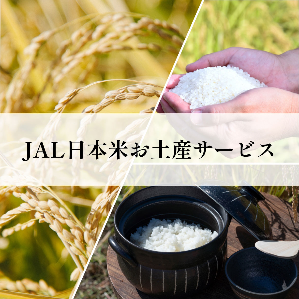 日本米お土産サービス