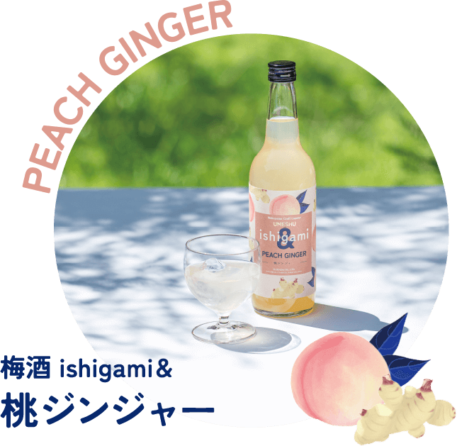 梅酒 ishigami＆（ｲｼｶﾞﾐｱﾝﾄﾞ）桃ジンジャー