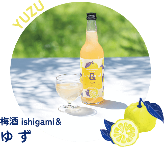 梅酒 ishigami＆（ｲｼｶﾞﾐｱﾝﾄﾞ）ゆず