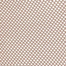 グレージュ TORTORA