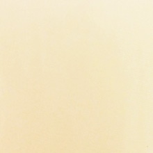 ナチュラルベージュ POUDRE