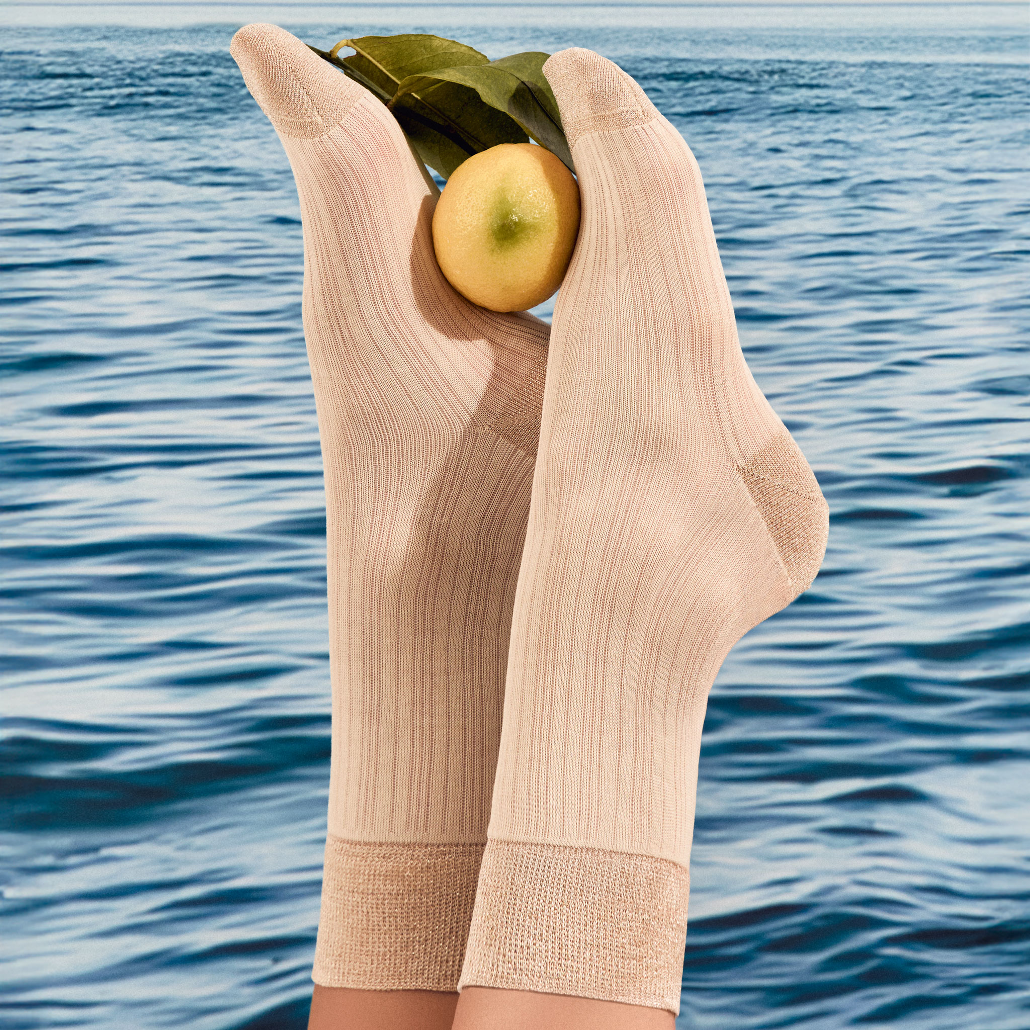 【ジェルソ】スコティッシュコットンのリブソックス