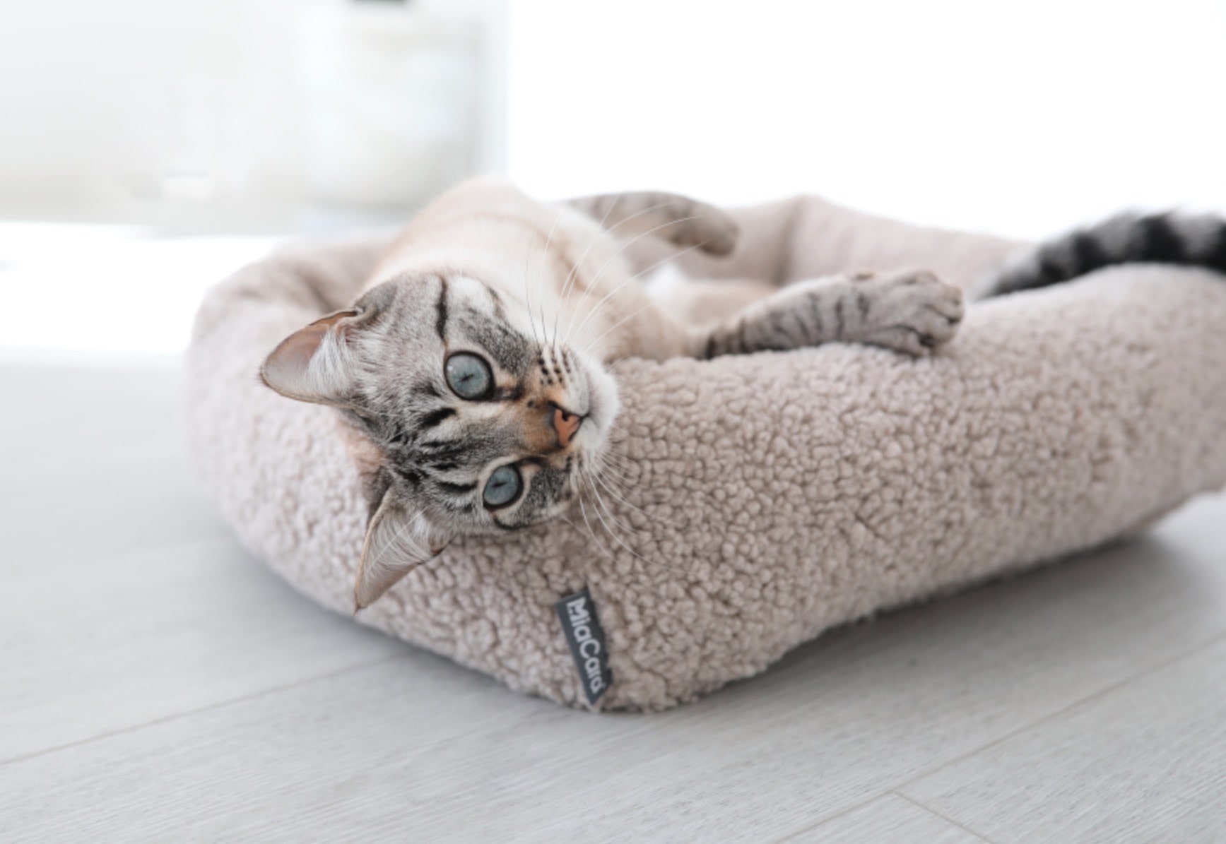 Senso (キャットベッド) Pebble Pebble