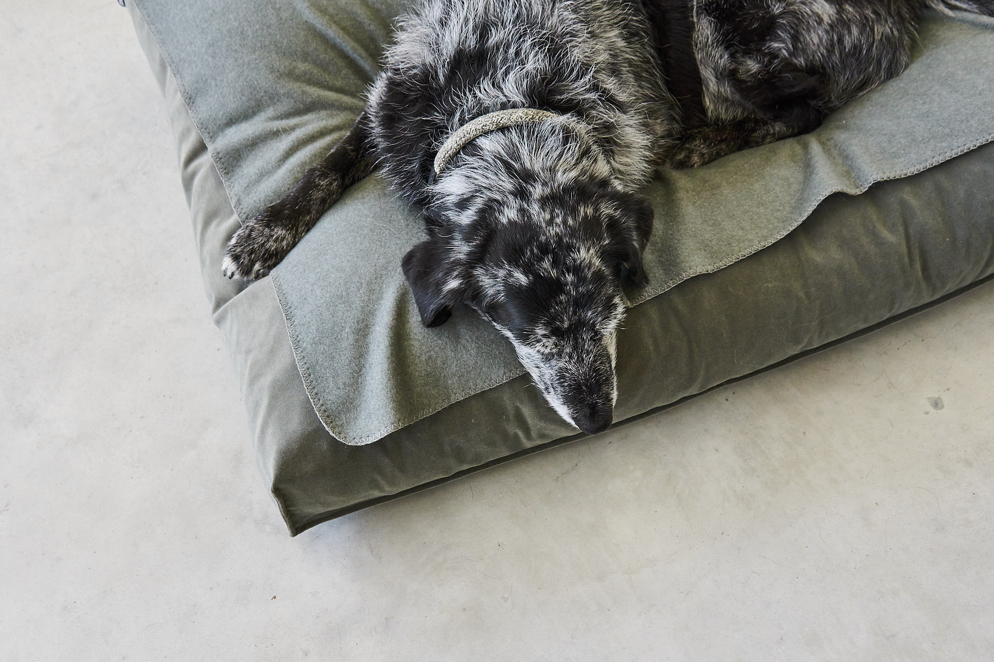 Unica Dog Blanket Sage S Sage S