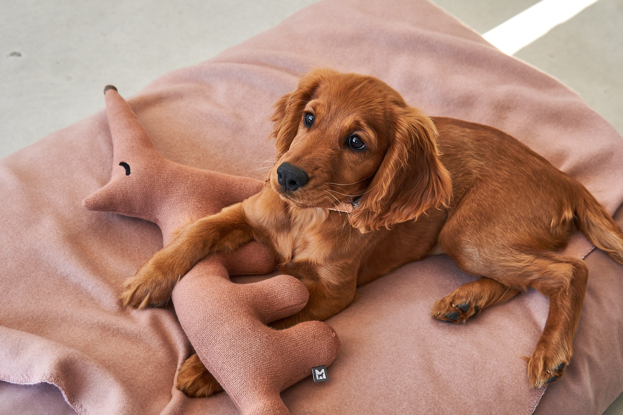 Unica Dog Blanket  Nude M Nude M