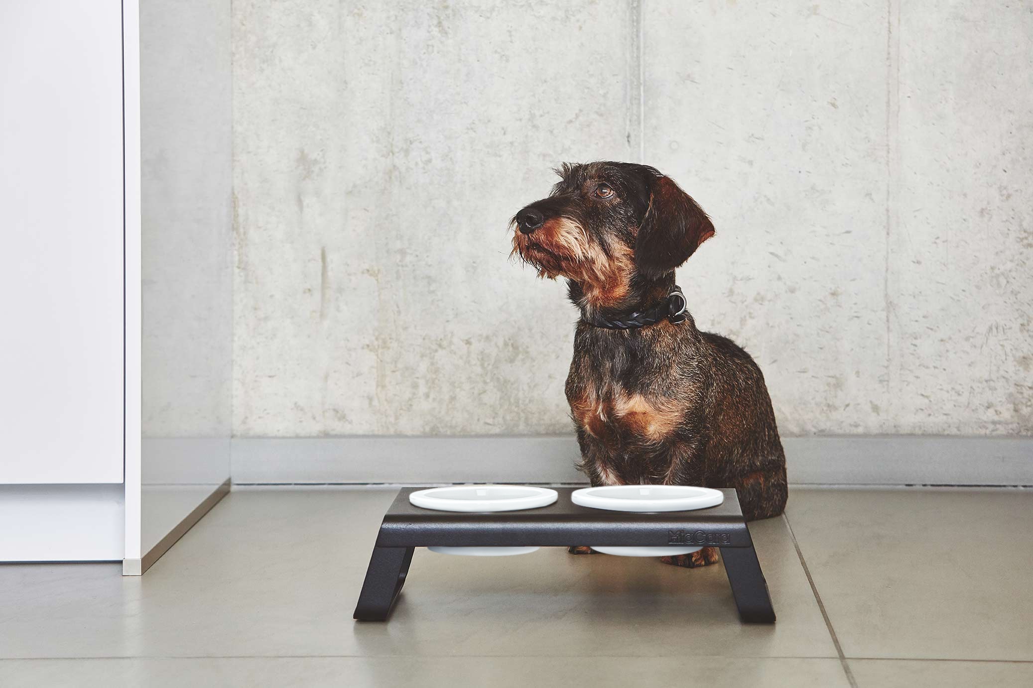 Desco Porcelain Bowl (ドッグボウルホルダー) S White