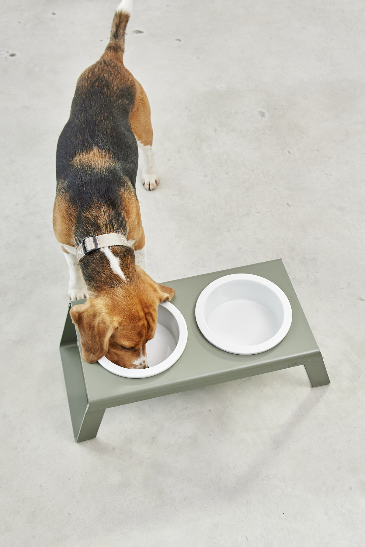 Desco Porcelain Bowl (ドッグボウルホルダー) S Golive