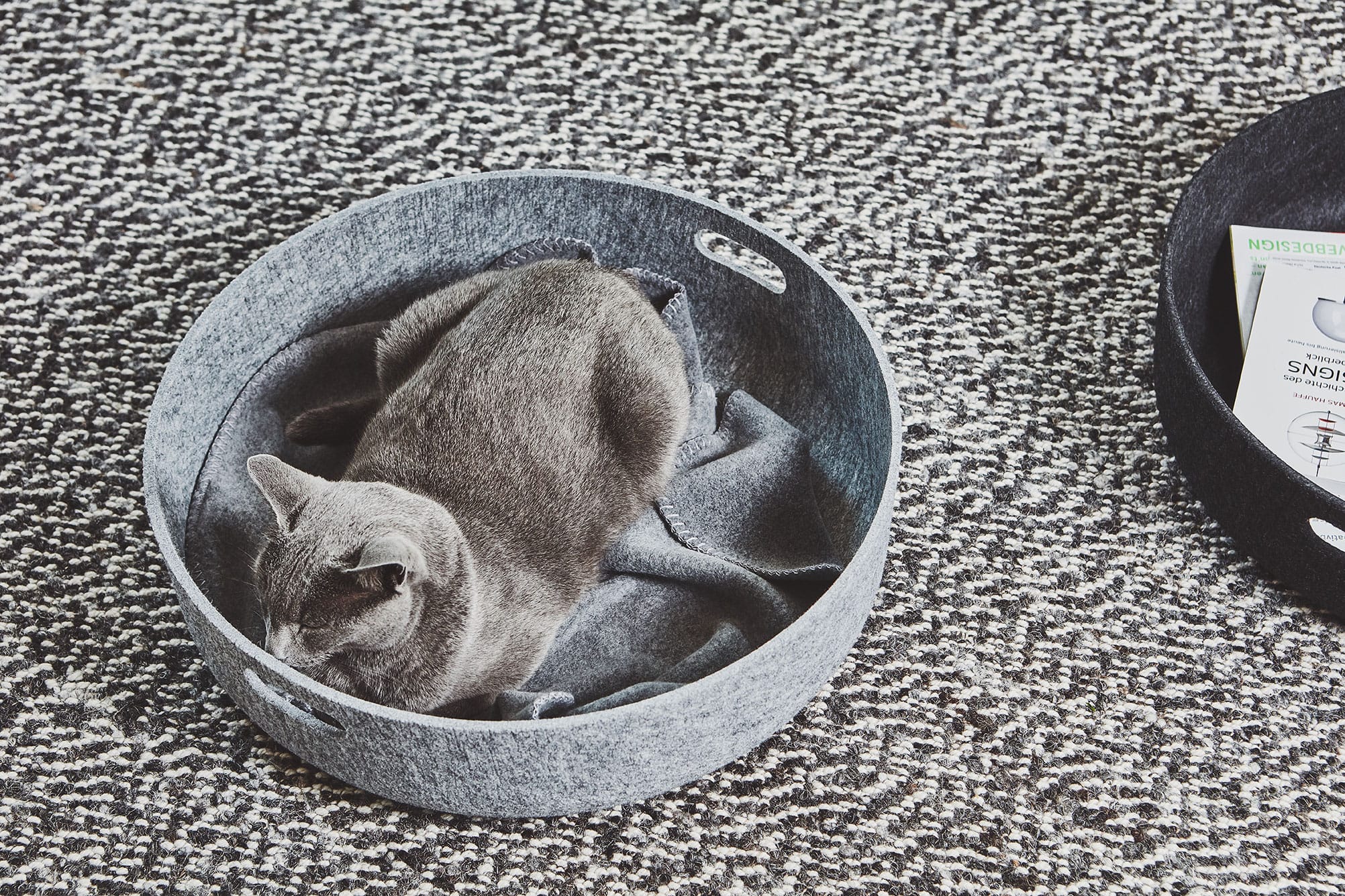 Cesto ( キャットベッド＆トイバスケット) Chocolate Chocolate