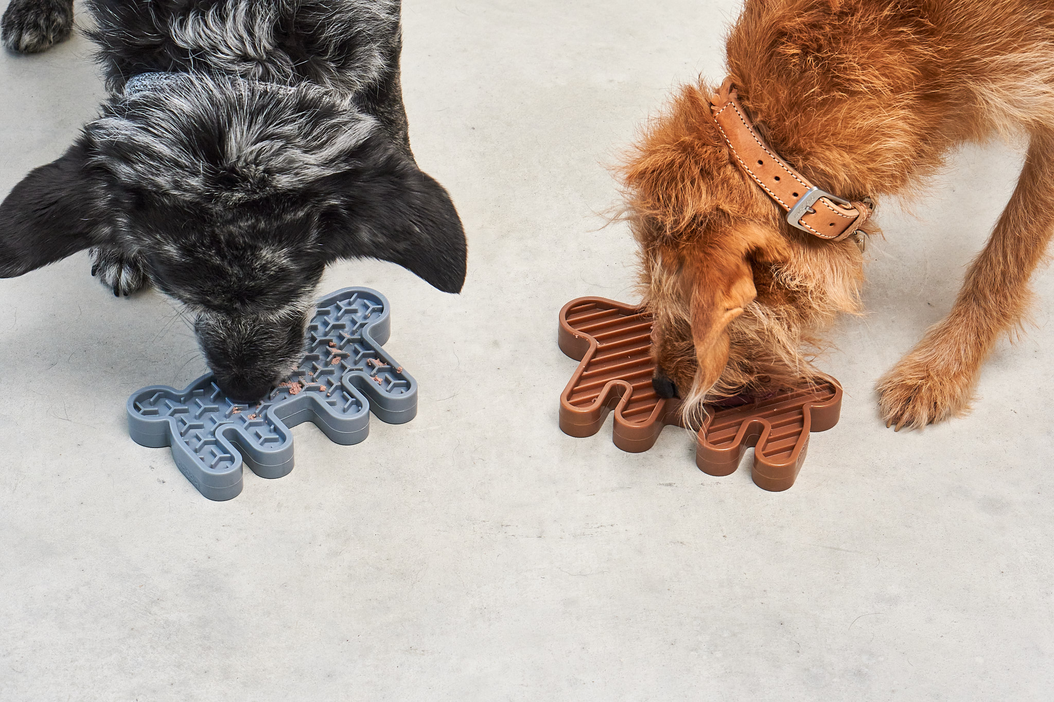 Lepre Activity Dog Toy Sandalwood Sandalwood