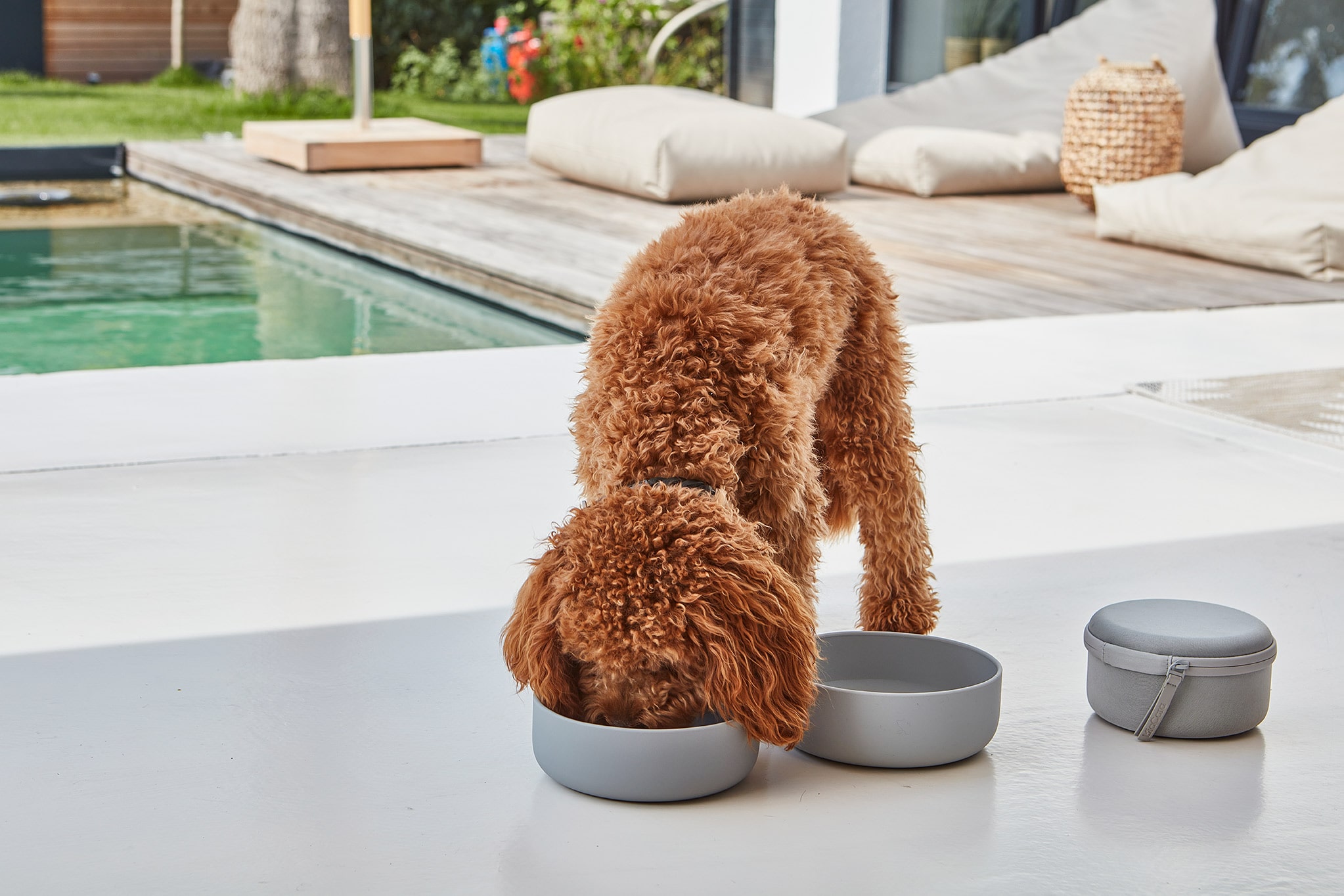 Bento Travel Bowl&Food Container トラベル用弁当箱