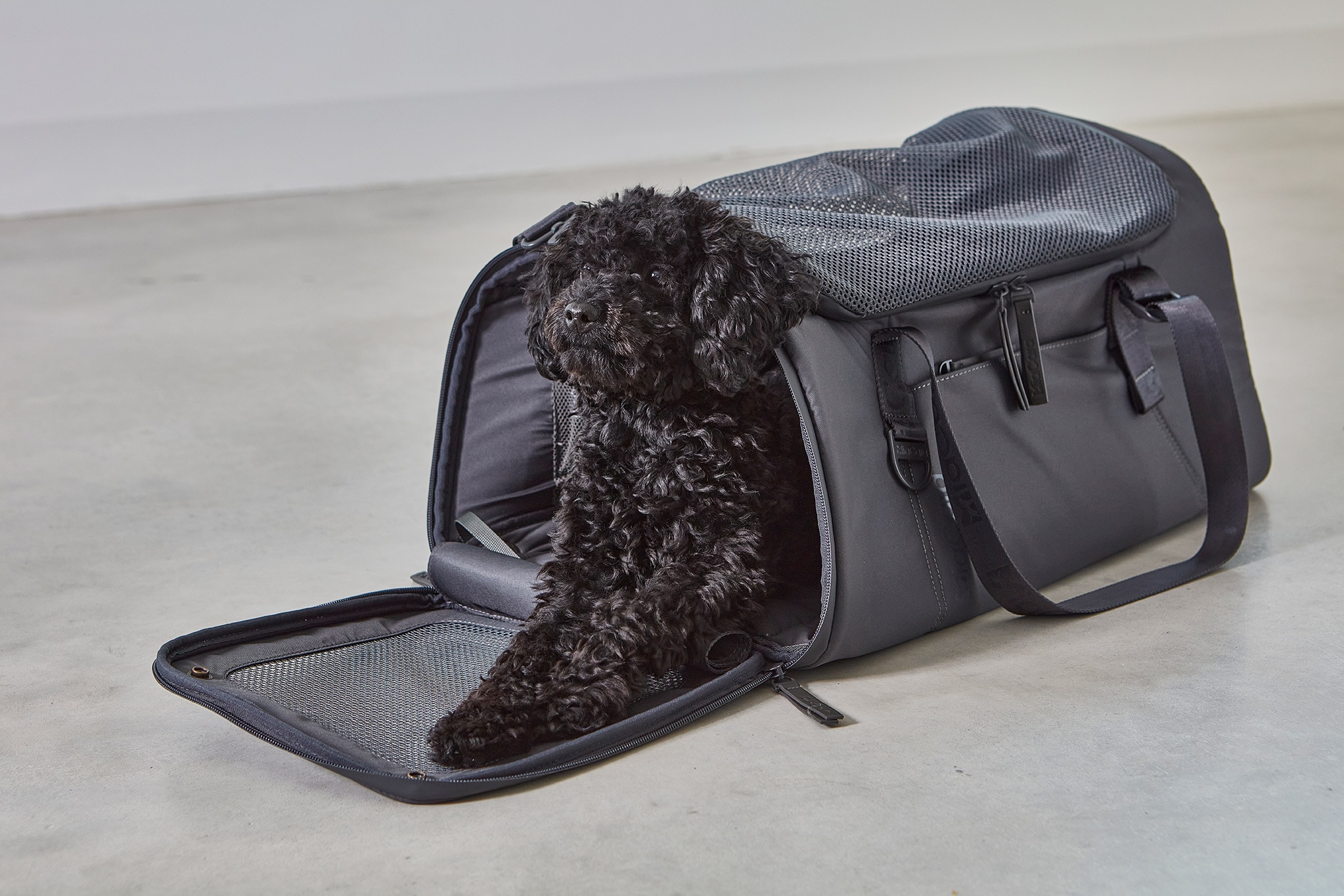 Volata ( ドッグキャリーバッグ) Asphalt