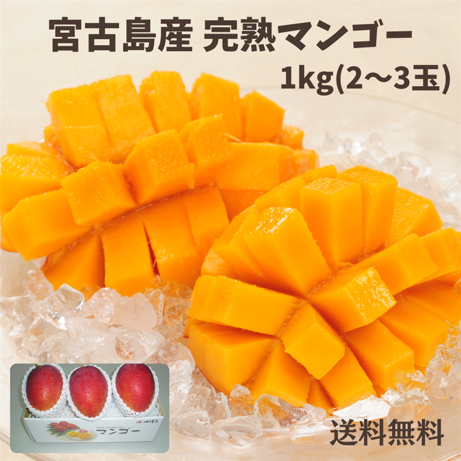 【予約販売】宮古島産完熟マンゴー1kg（2～3玉）秀品（送料無料）: 沖縄宝島｜JAL Mall