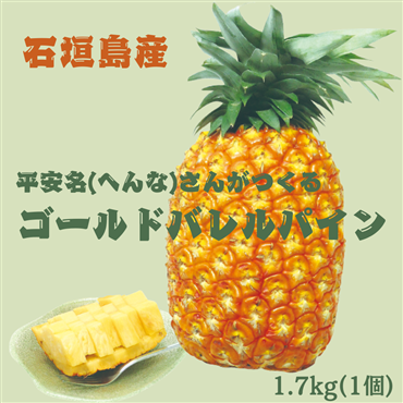 【予約販売】沖縄県石垣島産　平安名（へんな）さんがつくるゴールドバレルパイン　1.7kg　1玉　（送料無料）