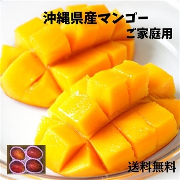 沖縄県産マンゴー　ご家庭用　1,4kg（送料無料）
