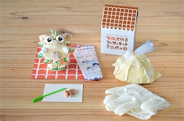 家族で作るシーサーキット